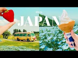 Overnight trip to Chiba, Japan ⛰️🇯🇵 (glamping, flower fields and hiking) Cinematic travel vlog