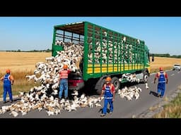 Most Ridiculous Worker Mistakes Caught on Camera