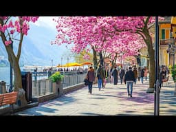Locarno - The BEST Place to Explore Spring 🇨🇭 Switzerland 4K