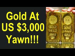 Gold is at US $3,000 per ounce! Find your own gold NOW!