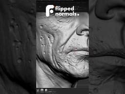 30% OFF - FlippedNormals Skin Kit