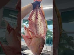 Killer Fish for grilling! Have a great weekend! #muttonsnapper