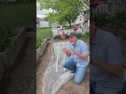 Keep bug off your vegetable plants with simple bug netting