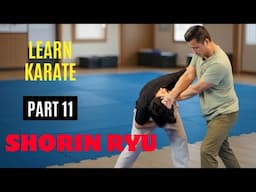 Martial Arts Tutorial | Shorin Ryu | PART 11 (Pinan YONDAN, kata and applications)