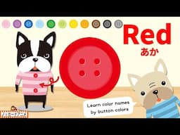 Learn Colors | Video for Kids  ボタンは何色？英語で色の名前を学ぶ知育アニメ