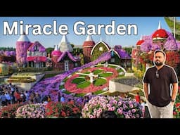 Dubai Miracle Garden 2025 | World's Largest Natural Flower Garden | 4K Trip Vlog 🇦🇪