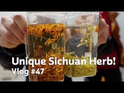 Tasting Sichuan Lao Ying Cha🍃  Local Tisane Made in a Unique Way | China Tea Travel RAW Vlog #47