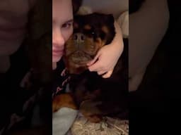 ROTTWEILER LOVE FOR GOOD NIGHT