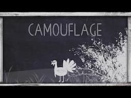 OnX Turkey Academy • Lesson 16 | Camo