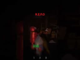 REPO Pörgés