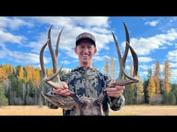 SOLO COLORADO Mule Deer Hunt - Stuck N The Rut 201