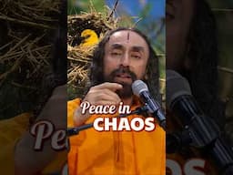 🌪️ Chaos Outside, Clarity Inside: Master the Storm with Krishna’s Wisdom l Swami Mukundananda