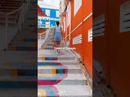 Splashes of color and the aroma of Pastechi on the breeze...Ready to see it for yourself in Curaçao?