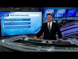 Video: Sunshine on mild day
