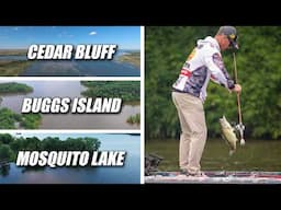 Where to Start bass fishing in June ( 3 Lake Breakdown )
