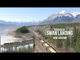 Trains at Swan landing, New viewpoint!