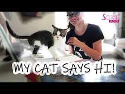 a day in my life (with a cute kitten!)