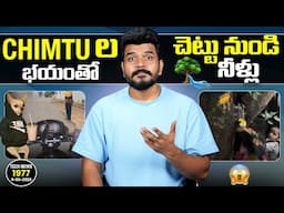 Tech News 1977 || Nothing Phone 3 Launch, Samsung Z Fold 7 Ultra, POCO F7 Series, vivo T4 Ultra Etc