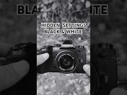 Hidden Black & White Setting In Olympus/OM System Cameras