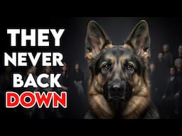 7 Dog Breeds That Never Break Down...