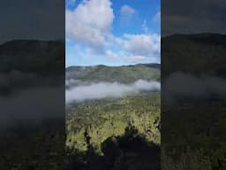 Natural beauty of New Zealand