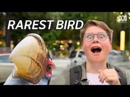 Can We Save Cambodia's Rarest Animals? | FULL DOCUMENTARY