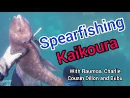 Spearfishing Kaikoura