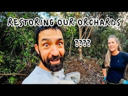 HOW DO WE SAVE OUR FRUIT TREES?