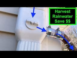 Rainwater Collection System 🌧️ | Downspout Diverter + 275 IBC Tote