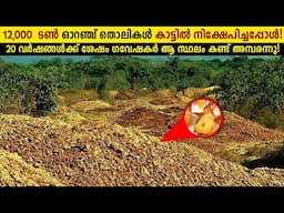 ഒരു കാടിനെ മുഴുവൻ മാറ്റി മറിച്ച പരീക്ഷണം!😱 Why They Dumped 12,000 Tons of Orange Peels? Storify