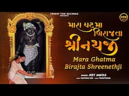 મારા ઘટમાં બિરાજતા શ્રીનાથજી | Mara Ghatma Birajta Shreenathji 🙏 | Devotional Gujarati Bhajan