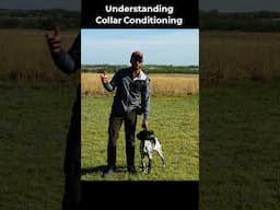 Understanding Collar Conditioning
