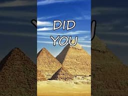 This Dog Got a Royal Tomb in Ancient Egypt?! 🐕👑