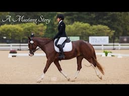 A Mustang Journey- Pixel's Story (Wild Mustang Training)