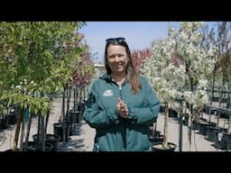 PETITTI Crabapple Spotlight | How to Grow & Care For Flowering Crabapple Trees