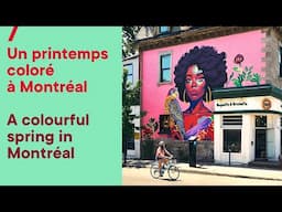 Le printemps à Montréal 🌷 Spring in Montréal