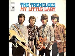 The Tremeloes  My Little Lady 1968 (vinyl record)