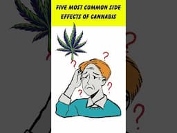 5 Weird Things That Happen When You Use Cannabis!