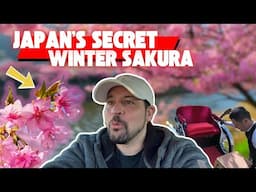 Rare HIDDEN Winter Cherry Blossom Festival Day and Night