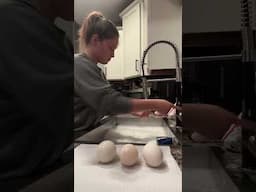 The ducks have been producing lately 🥲 🤩 #egg #eggs #ducks #ducklife #duckeggs #maine #homestead