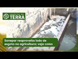 Sanepar reaproveita lodo de esgoto na agricultura; veja como -  Negócios da Terra (26/04/2025)
