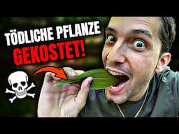 Hab eine tödlich giftige Pflanze gekostet! Das ist passiert