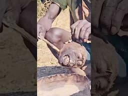 African Village - Hadza Tribe enjoying homemade food #hadzabe #africa #hadzatribe