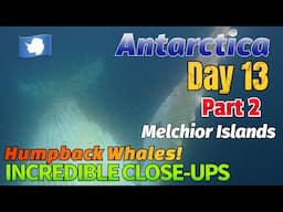 INCREDIBLE UNDERWATER WHALE FOOTAGE at the Melchior Islands | Antarctica 2025 Expedition Day: 13