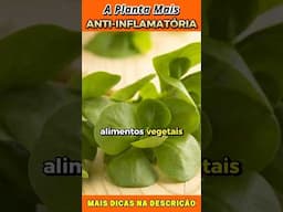 🌿 A PLANTA MAIS PODEROSA Contra Inflamações (Poucos Conhecem!)