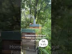 Bee Happy
