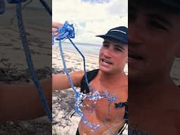 Solo Survival On a Deadly Deserted Island With ONLY a Hand Spear
