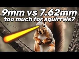 9mm vs 7.62... what's best for chipmunks and squirrels?