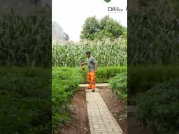 PPSU Berkebun Bersama Warga