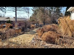 Early March Garden Tour, Minnesota Zone 5a